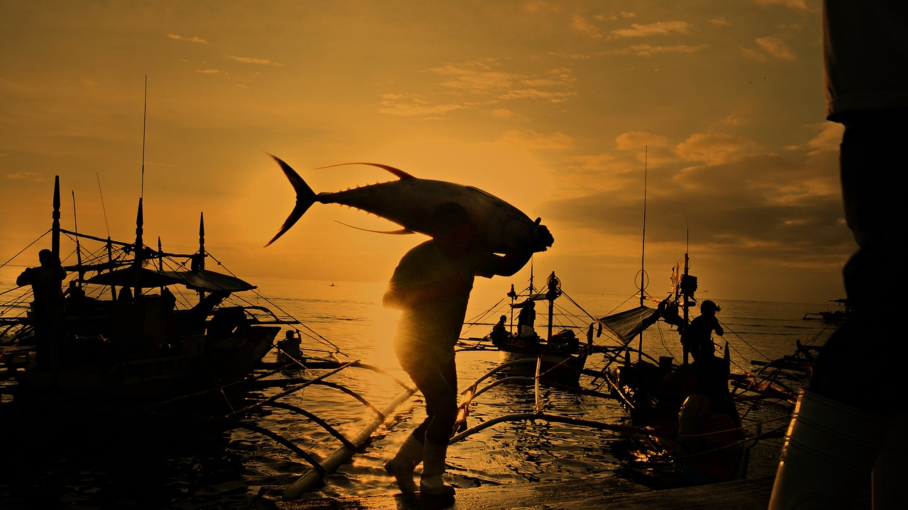 Thunfisch, © Pixabay