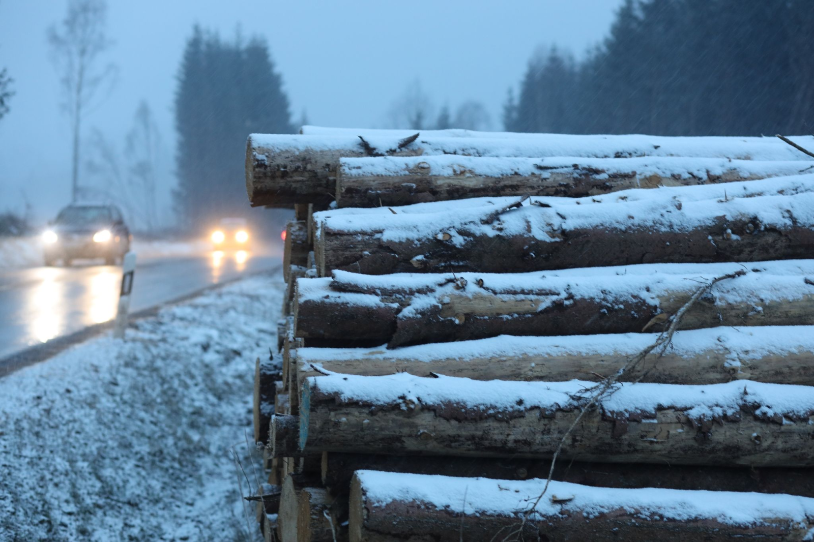 Schnee bedeckt Holzstapel nahe Wernigerode.