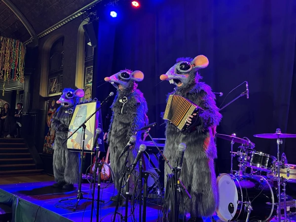 D Wanderratte D Wanderratte