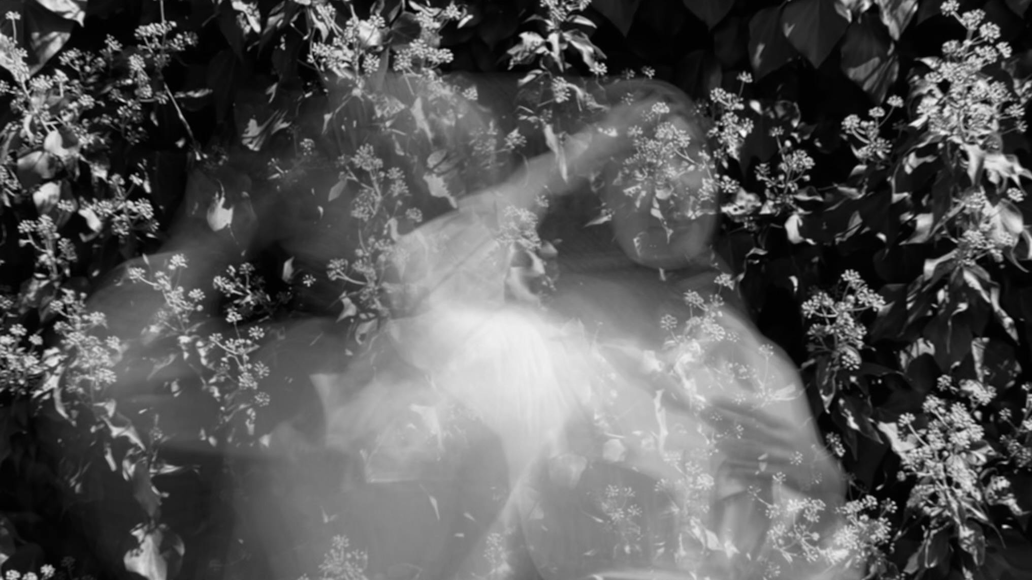 © Şeyda Hacıhasanoğlu