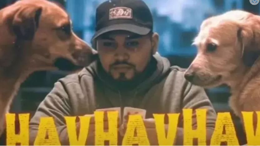  Lvbel C5’in “HavHavHav” Şarkısı CİMER’e Şikâyet Edildi, © Hürriyet