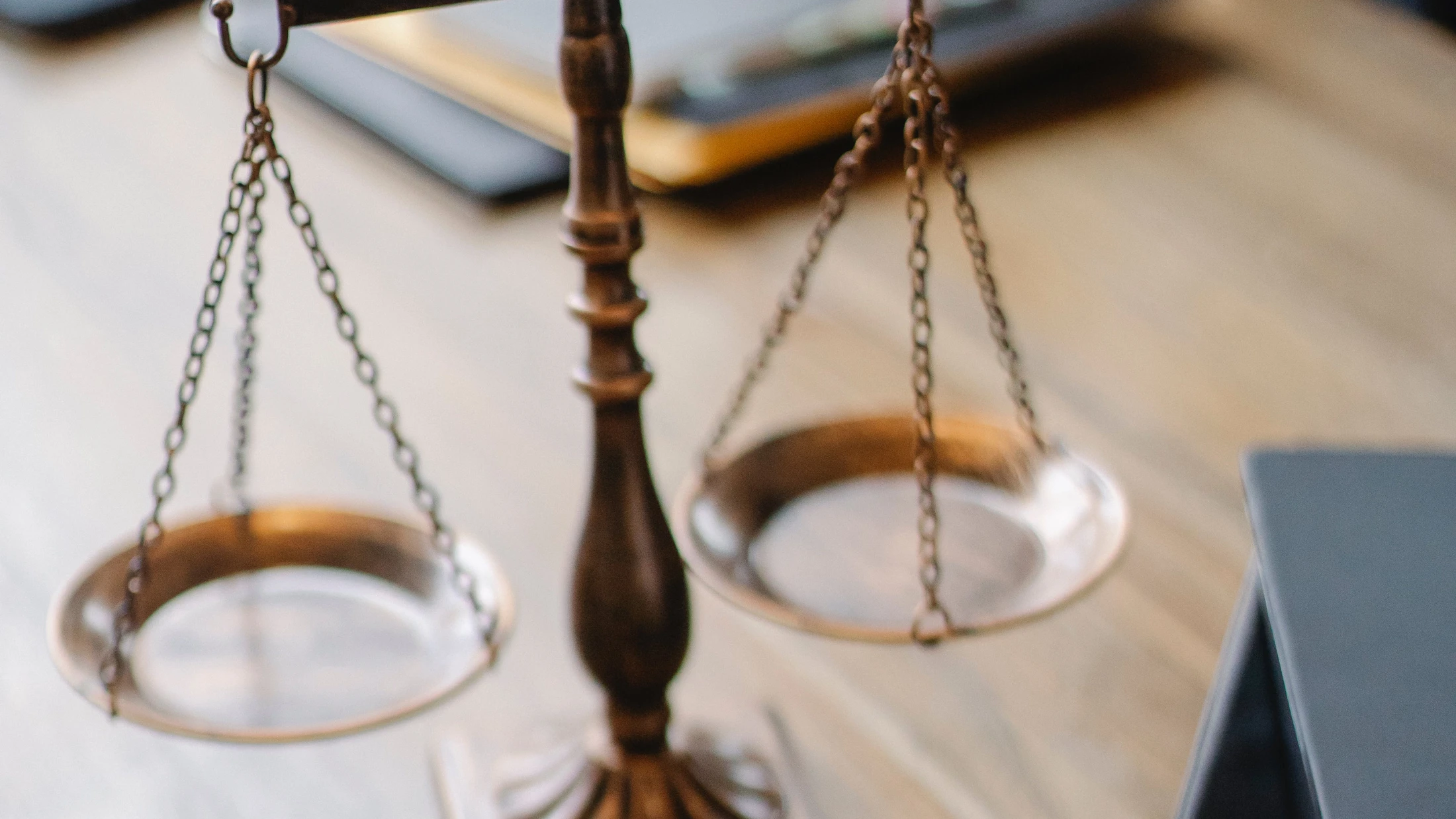 © Sora Shimazaki © Sora Shimazaki