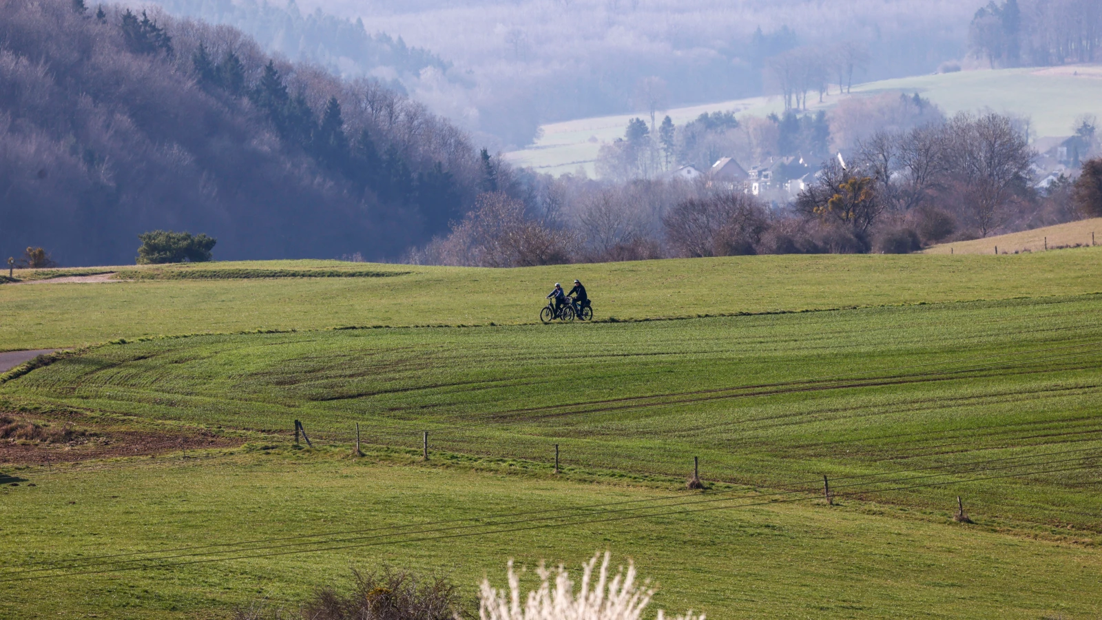Eifelsteig 'Premium Yürüyüş Rotası' Seçildi, © Thomas Banneyer/dpa Eifelsteig 'Premium Yürüyüş Rotası' Seçildi, © Thomas Banneyer/dpa