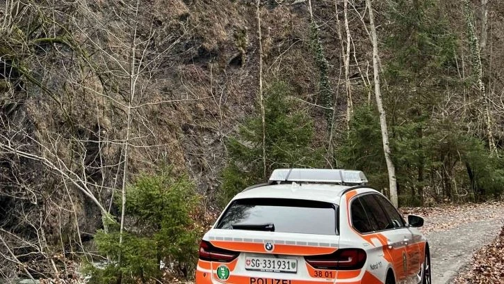73-jähriger Landwirt am Grabserberg schwer verletzt, © Kantonspolizei St. Gallen 73-jähriger Landwirt am Grabserberg schwer verletzt, © Kantonspolizei St. Gallen