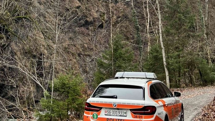 73-jähriger Landwirt am Grabserberg schwer verletzt, © Kantonspolizei St. Gallen