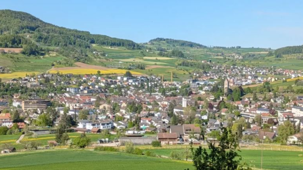 Aufgepasst: Entlaufenes Rind in Gelterkinden, © gelterkinden.ch
