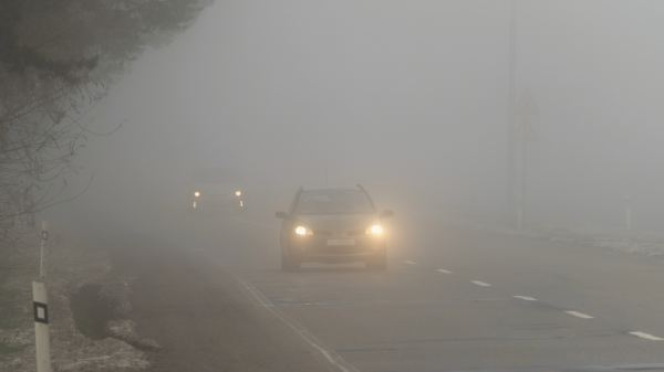 Autos im Nebel, © Montypeter, Shutterstock