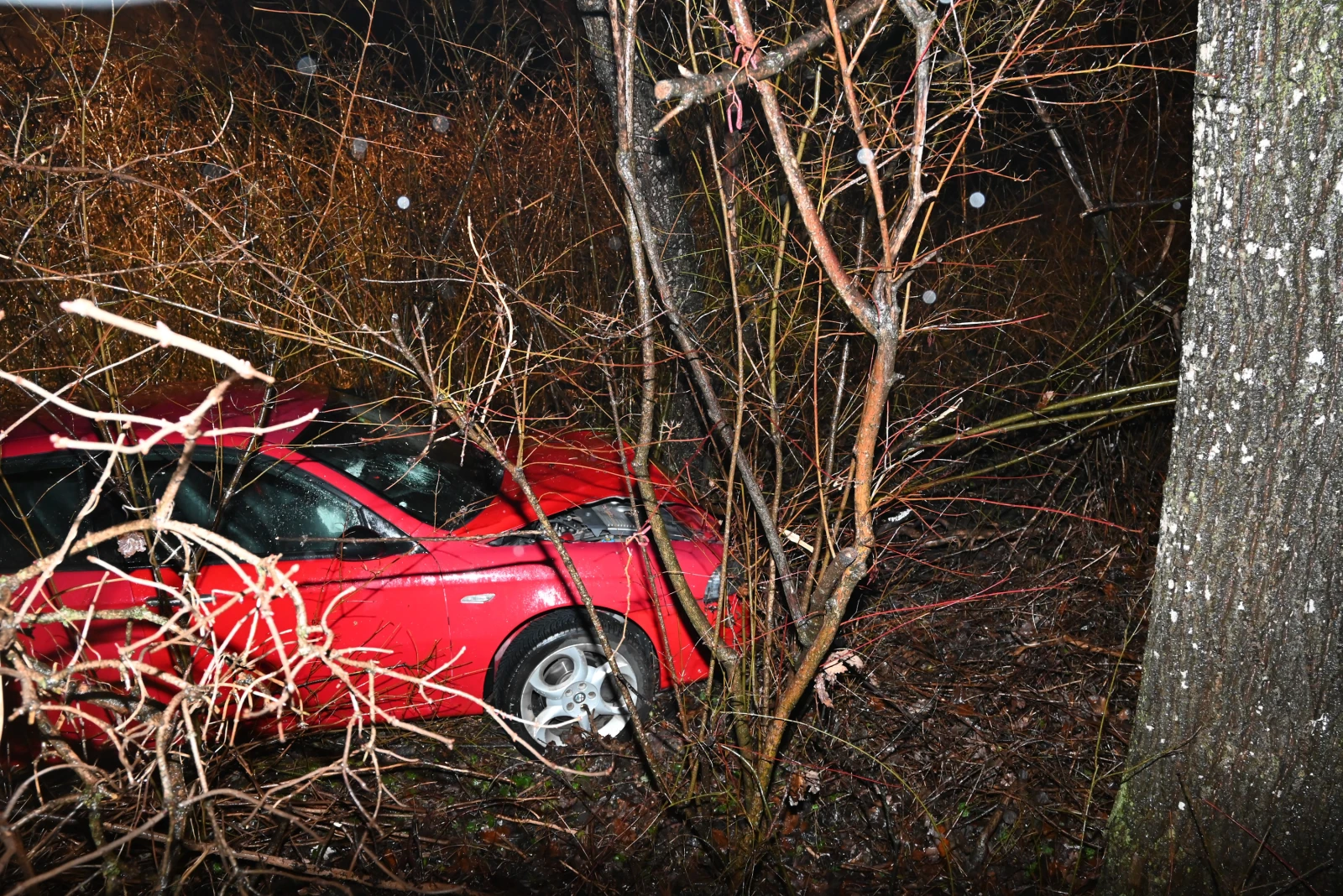Windfang bei Altstätten bremst Autofahrer aus, © Kapo SG Windfang bei Altstätten bremst Autofahrer aus, © Kapo SG