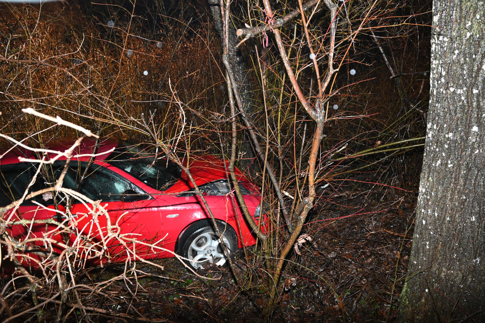 Windfang bei Altstätten bremst Autofahrer aus, © Kapo SG