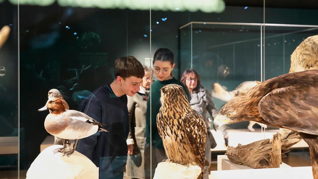 Basler Museen sind beliebt, © bs.ch