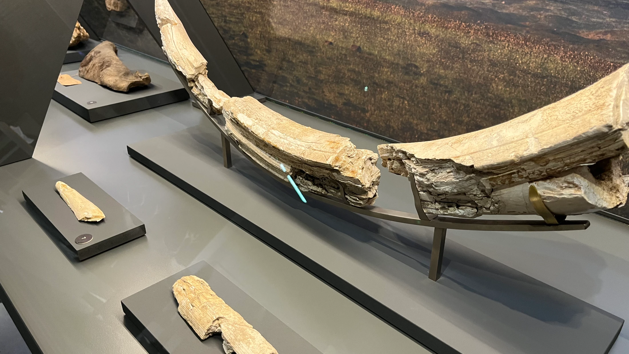 © Radio Munot © Radio Munot