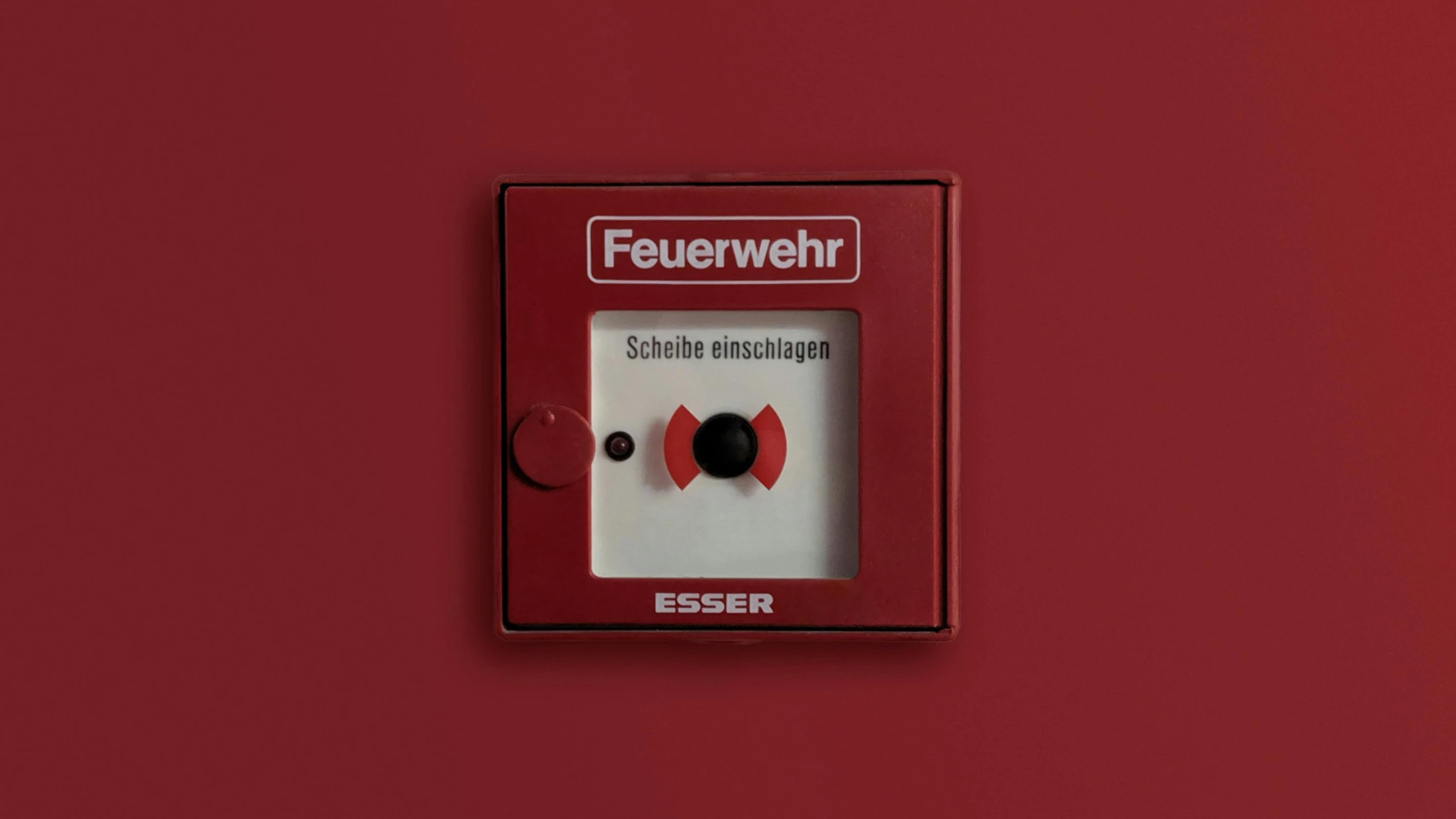 © David Gierth © David Gierth