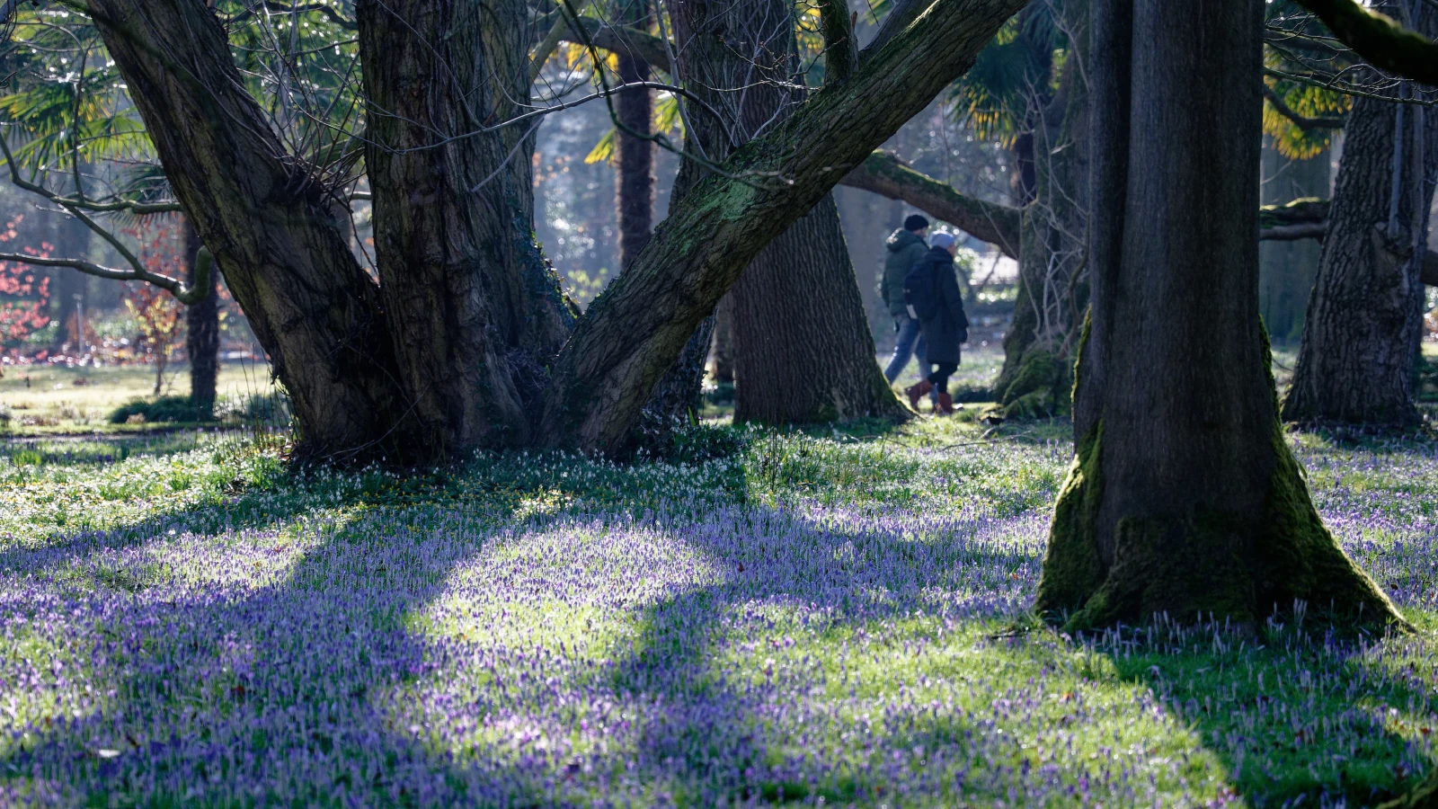 Hafta Sonu İçin Güneşli ve Ilık Hava Bekleniyor!, © Henning Kaiser/dpa Hafta Sonu İçin Güneşli ve Ilık Hava Bekleniyor!, © Henning Kaiser/dpa