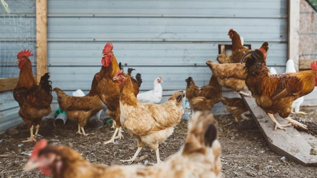 © Symbolbild: Unsplash Brooke Cagle © Symbolbild: Unsplash Brooke Cagle