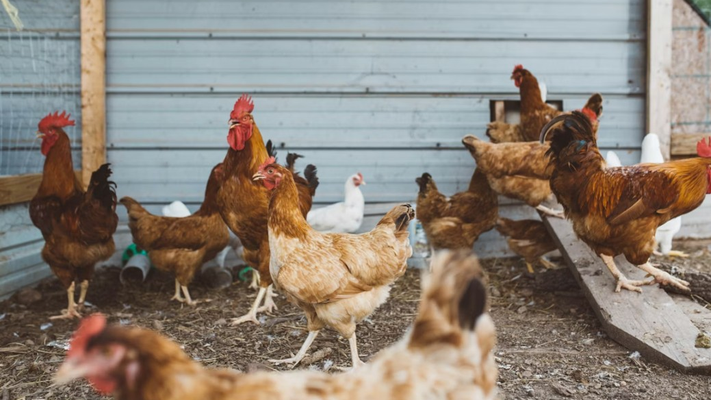 © Symbolbild: Unsplash Brooke Cagle