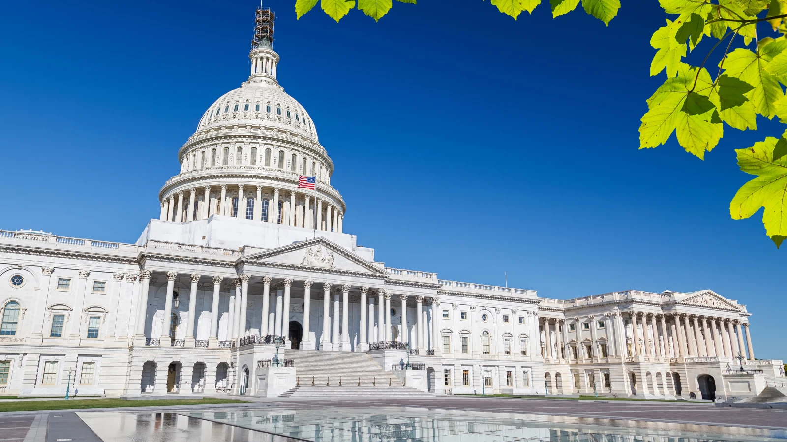 Republikaner holen Senat, © Depositfotos / Symbol- & Archivbild / S. Borisov Republikaner holen Senat, © Depositfotos / Symbol- & Archivbild / S. Borisov
