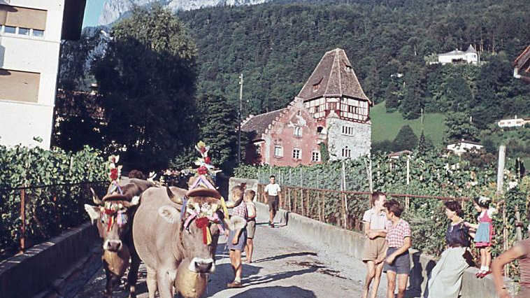 Verein Vaduzer Heimatkunde: Stammtisch, © Radio Liechtenstein