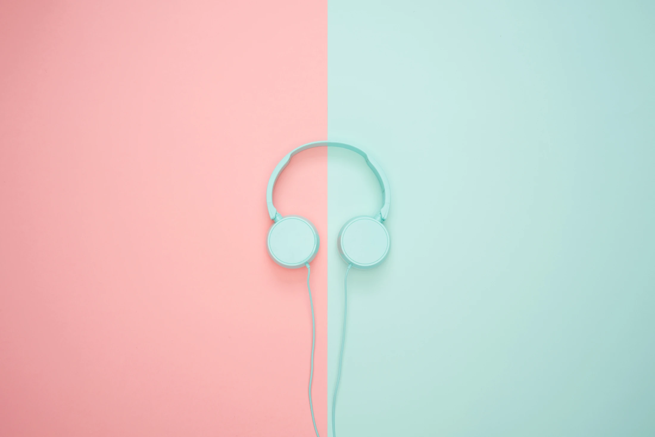 © Moose Photos © Moose Photos