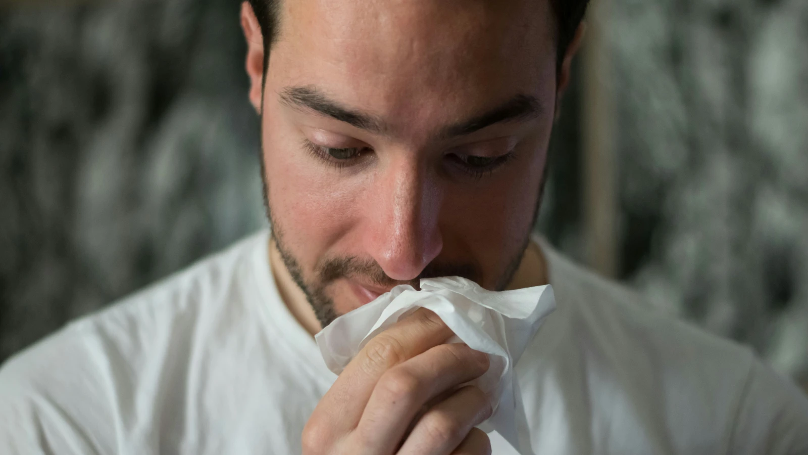 Pollensaison beginnt wieder früh, © unsplash Pollensaison beginnt wieder früh, © unsplash