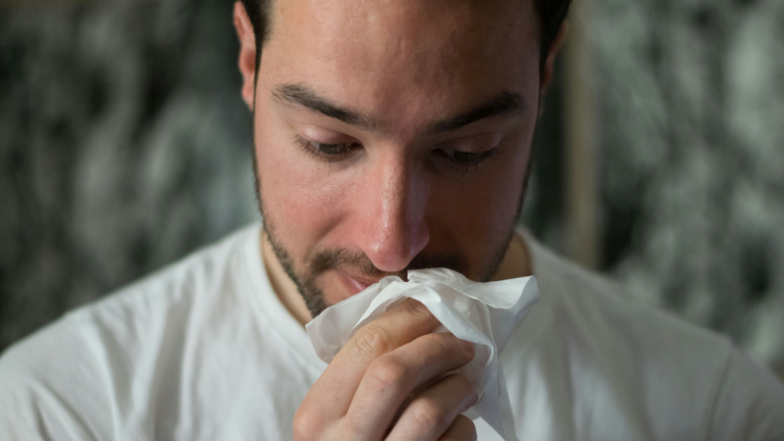 Pollensaison beginnt wieder früh, © unsplash