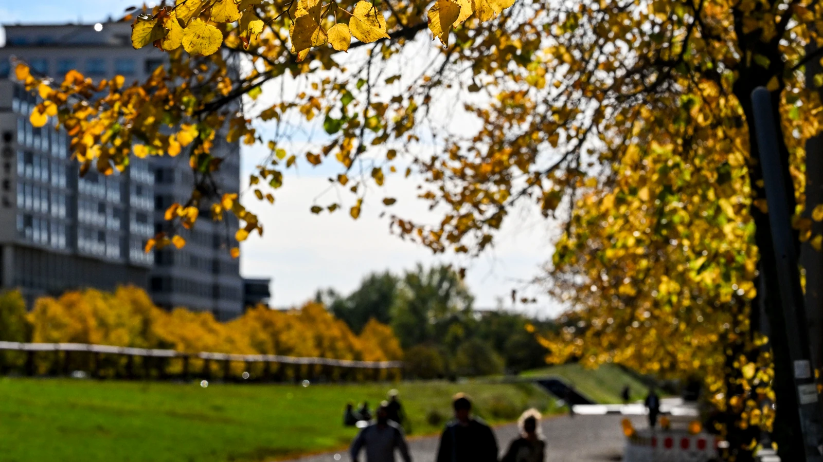 Kış Şubat Ayında Veda Ediyor: Sıcaklıklar Bazı Yerlerde 20 Dereceye Ulaşacak!, © dpa Kış Şubat Ayında Veda Ediyor: Sıcaklıklar Bazı Yerlerde 20 Dereceye Ulaşacak!, © dpa
