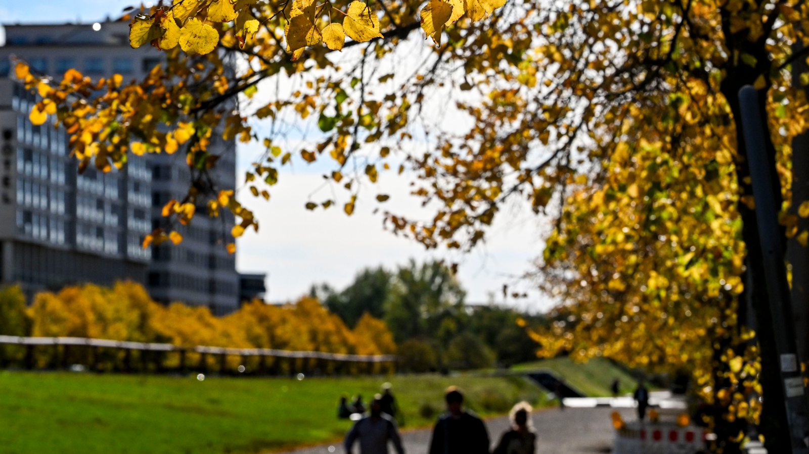Kış Şubat Ayında Veda Ediyor: Sıcaklıklar Bazı Yerlerde 20 Dereceye Ulaşacak!, © dpa
