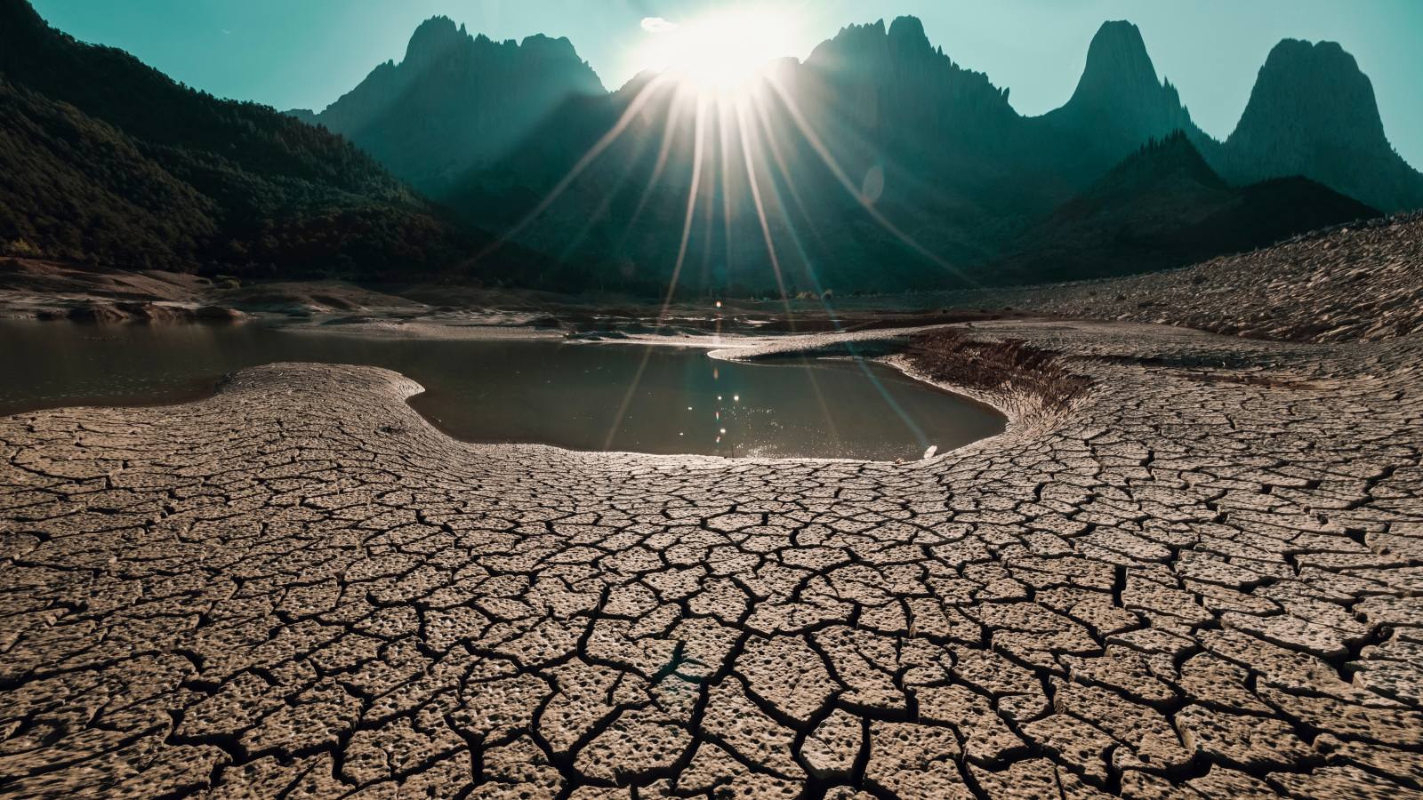 Dünyanın Ekolojik Kaynakları Tükenmeye Başladı, © shutterstock