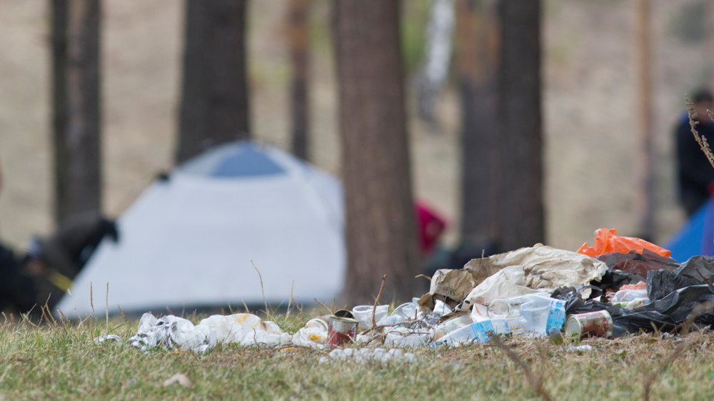  Almanya'da Çıplak Hippiler Ormanda Beş Ton Dışkı Bıraktı!, © shutterstock