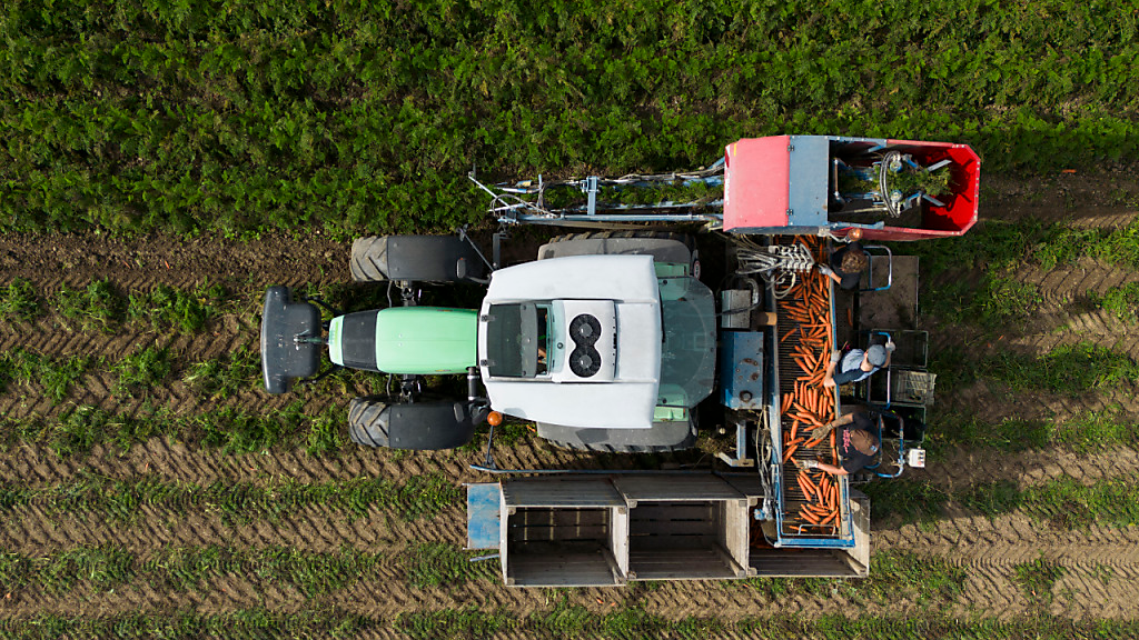 Weniger Nährstoffe gehen in der Landwirtschaft verloren, © Keystone SDA