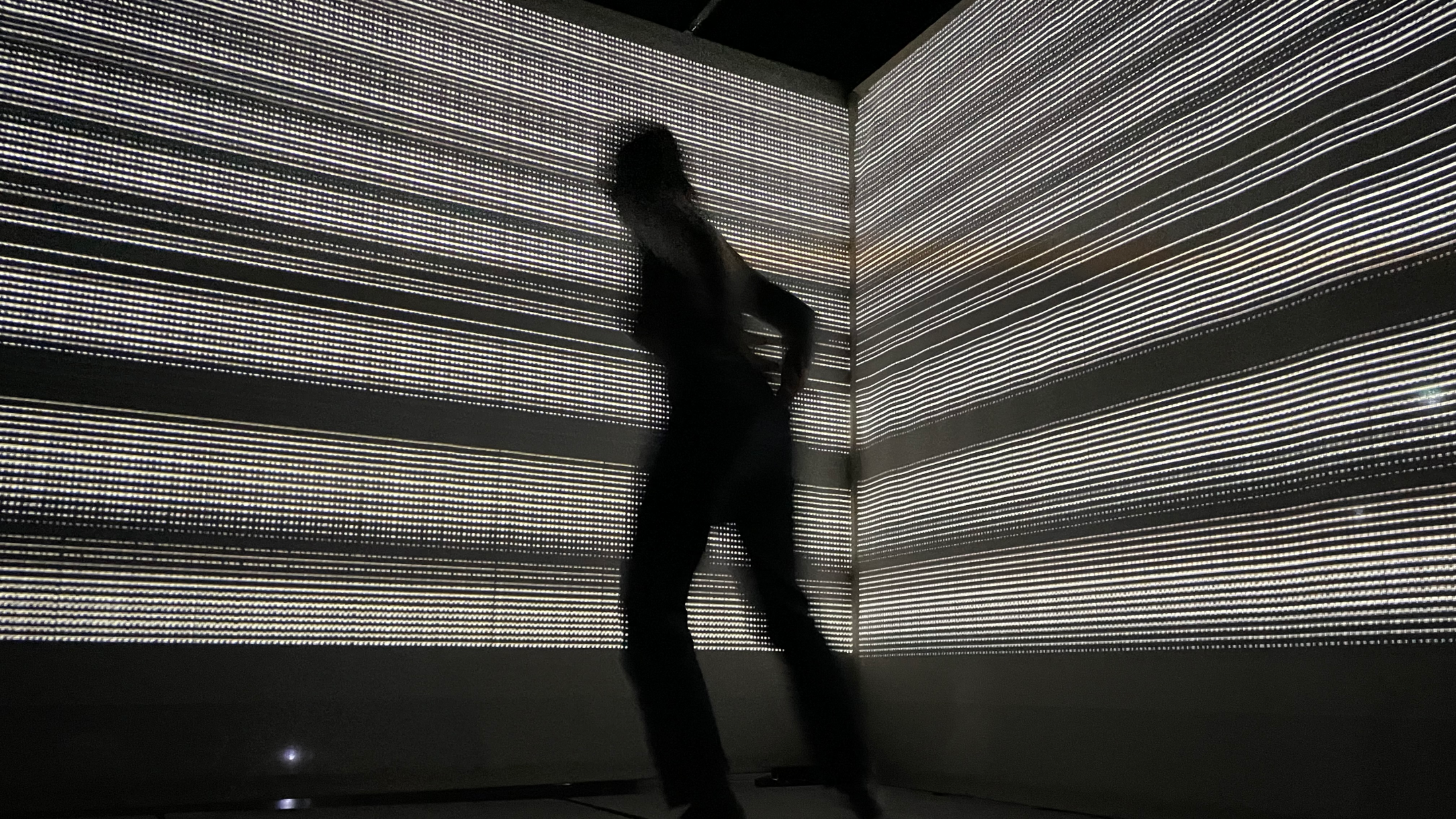 © Haus der Elektronischen Künste