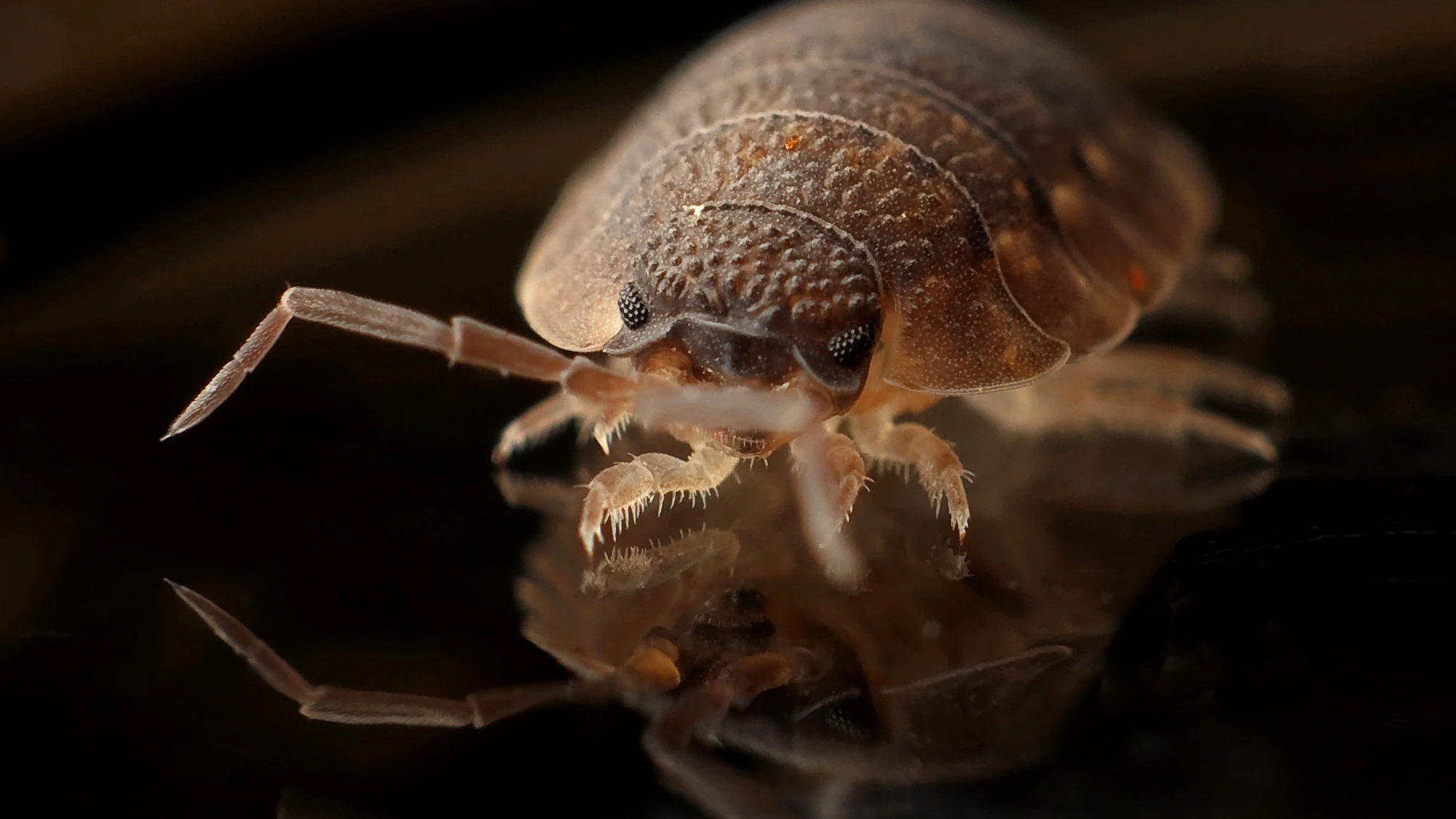 © Pixabay © Pixabay