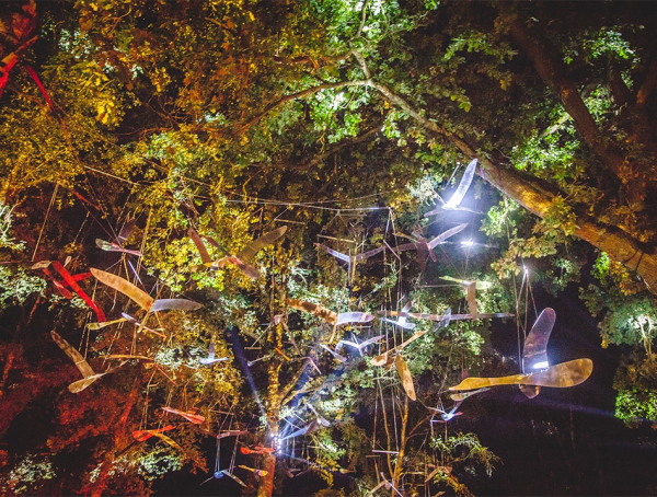 Baum mit hängenden Dingen drinnen, © Hinrich Carstensen