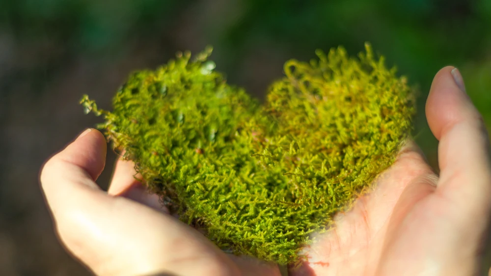 Yeşil hafta Başladı!, © shutterstock Yeşil hafta Başladı!, © shutterstock
