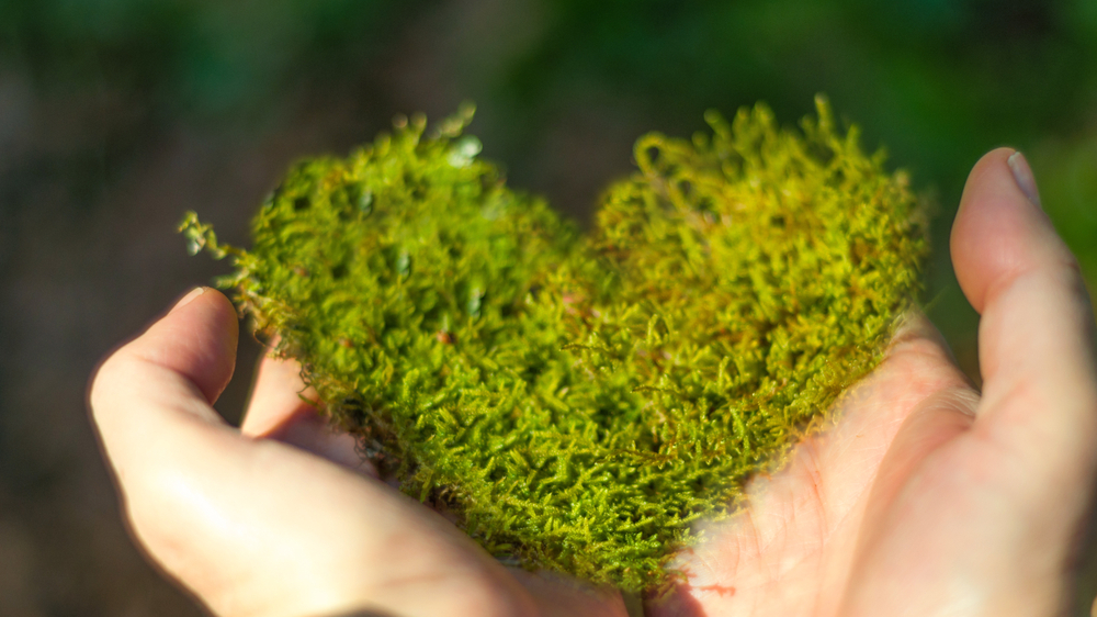 Yeşil hafta Başladı!, © shutterstock
