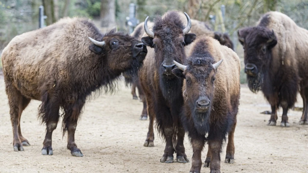 © Zoo Basel © Zoo Basel