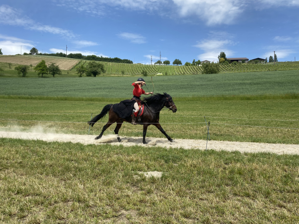 © Reiat Trophy in Bibern. Bild: Radio Munot