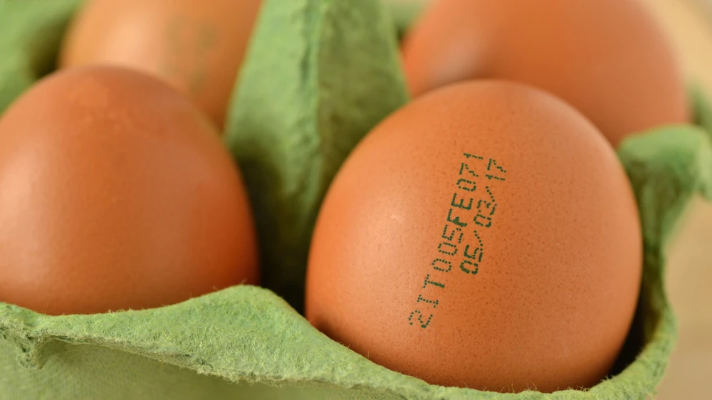 Tavuk mu Yumurta mı? Bilim Cevabı Buldu, © shutterstock Tavuk mu Yumurta mı? Bilim Cevabı Buldu, © shutterstock