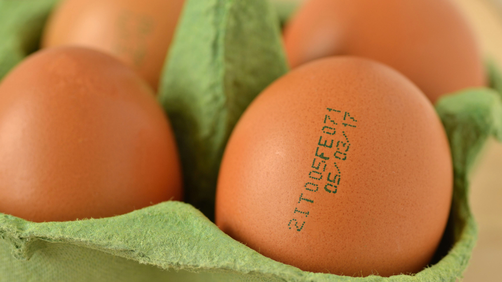 Tavuk mu Yumurta mı? Bilim Cevabı Buldu, © shutterstock