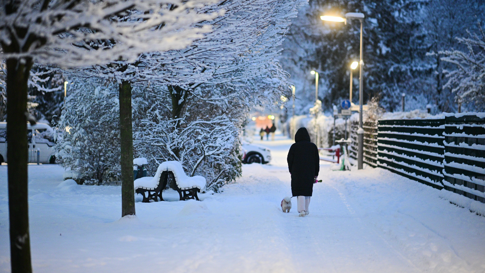 Almanya’yı “Yüzyılın Kışı” mı Bekliyor?, © Sebastian Gollnow/dpa