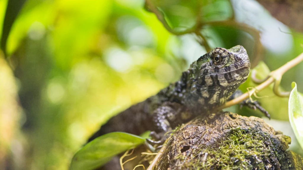 © Zoo Basel © Zoo Basel