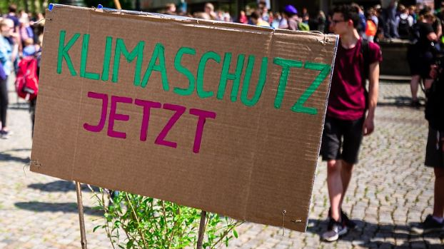 65 Anzeigen bei Klima-Demonstration, © Pixabay/dmncwndrlch