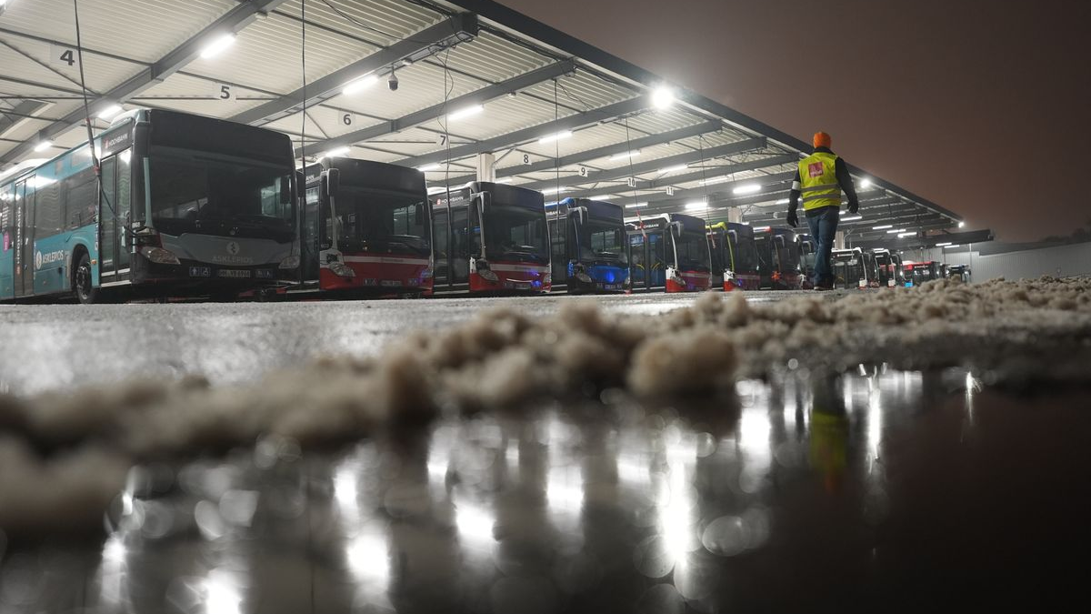 NRW’de toplu taşımada anlaşma: Grevler sona erdi, © Marcus Brandt/dpa