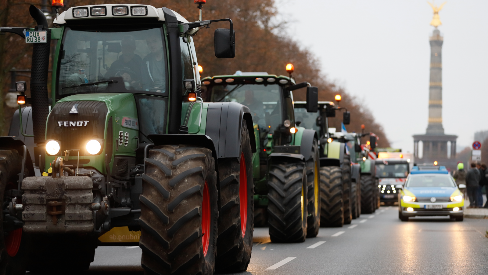 Shutterstock, © Shutterstock