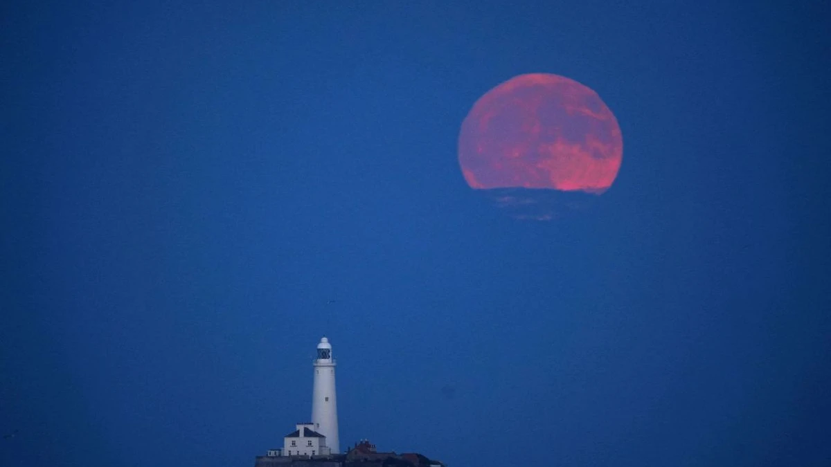 Gökyüzünde Nadir Bir Güzellik: “Çilek Ayı” , © Owen Humphreys/PA Wire/dpa Gökyüzünde Nadir Bir Güzellik: “Çilek Ayı” , © Owen Humphreys/PA Wire/dpa