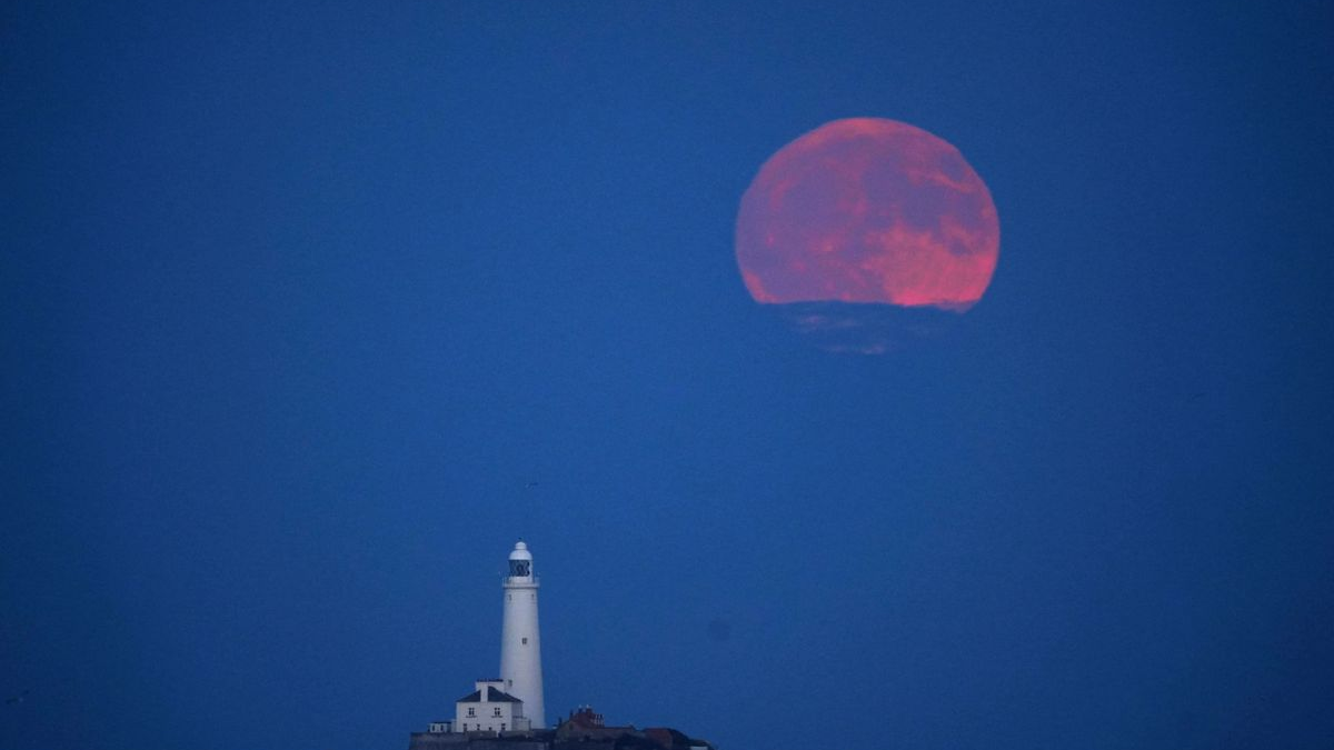 Gökyüzünde Nadir Bir Güzellik: “Çilek Ayı” , © Owen Humphreys/PA Wire/dpa