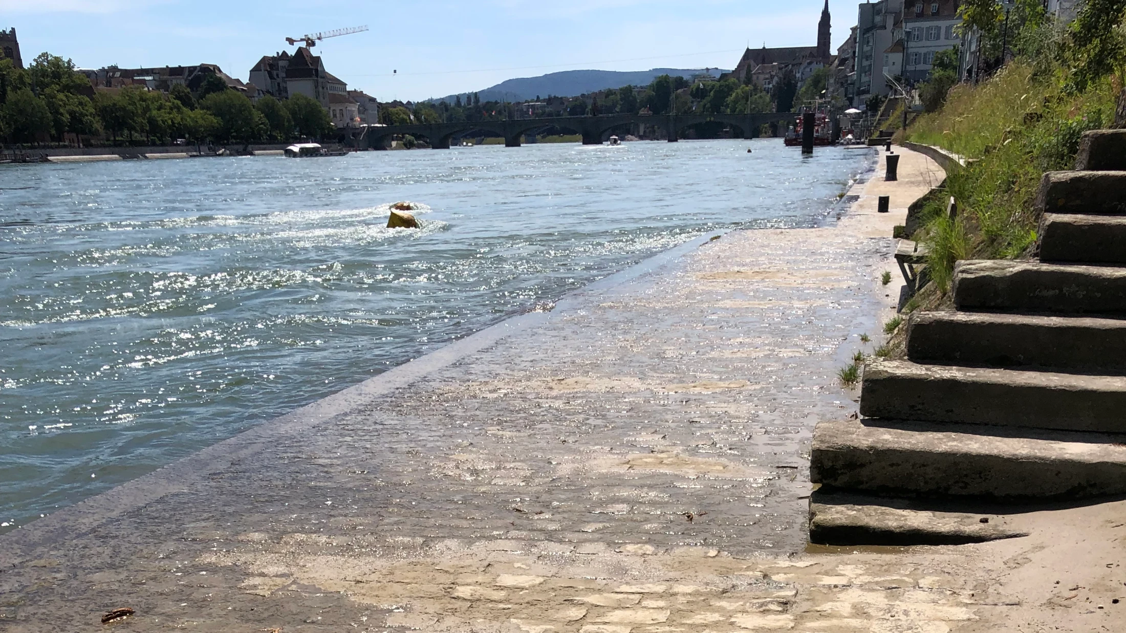 © Basilisk © Basilisk