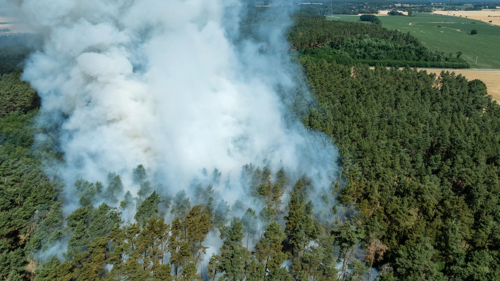 Brandenburg'da Orman Yangını Riski Artıyor!, © dpa Brandenburg'da Orman Yangını Riski Artıyor!, © dpa