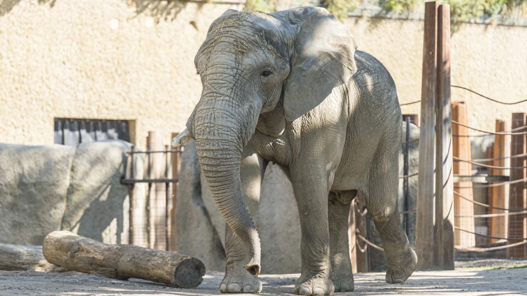© Zoo Basel © Zoo Basel