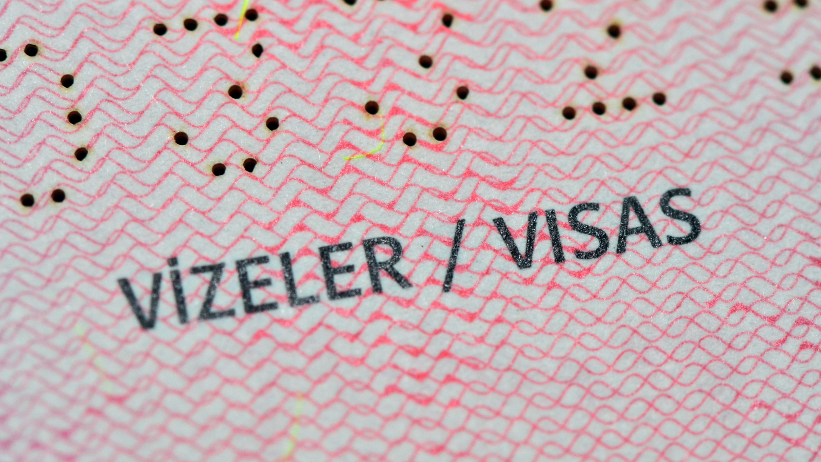 AP Türkiye Raportörü Amor: “Türk Öğrencilerin Vize Alamaması Sinir Bozucu”, © shutterstock