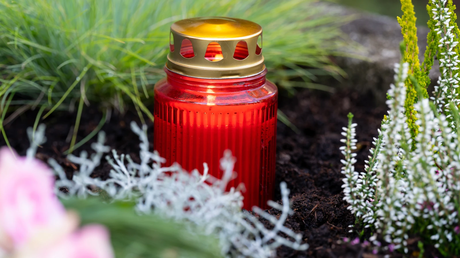 1 Kasım Allerheiligen: Azizler Günü’nün Anlamı ve Etkileri, © dpa 1 Kasım Allerheiligen: Azizler Günü’nün Anlamı ve Etkileri, © dpa